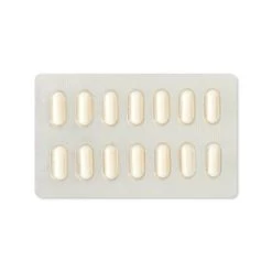 Up & Up Daily Probiotic Support Capsules - 42ct - up & up™