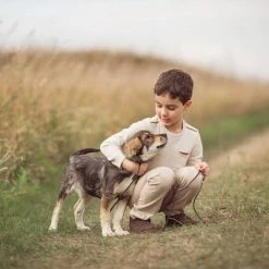 Up & Up Children's Cetirizine Hydrochloride Allergy Relief Liquid - Grape - 8 fl oz - up & up™