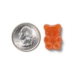 Up & Up Probiotic Gummies for Digestive Health - Mixed Fruit - 80ct - up & up™